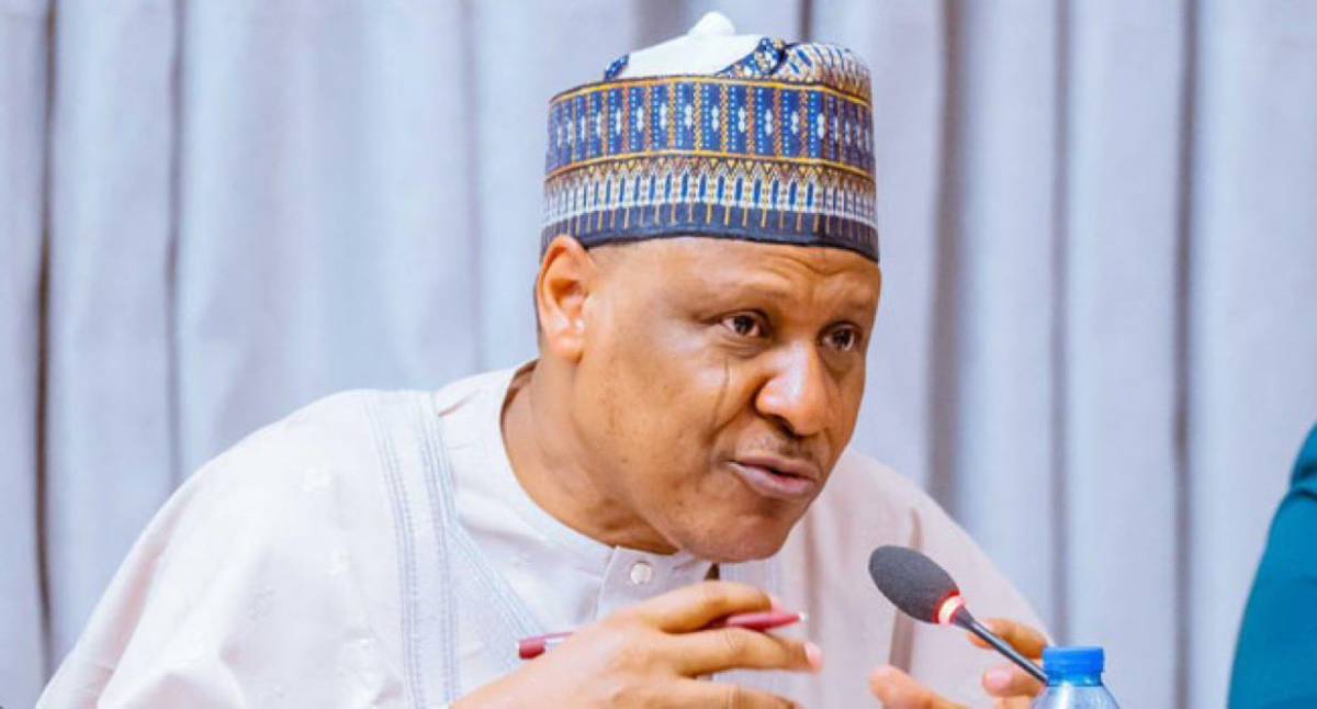 The Federal Government has described the recent airstrike in the Jilli axis of Gubio Local Governmen...