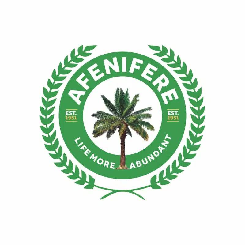 The 2027 Polls must be peaceful

~ Afenifere tells Politicians