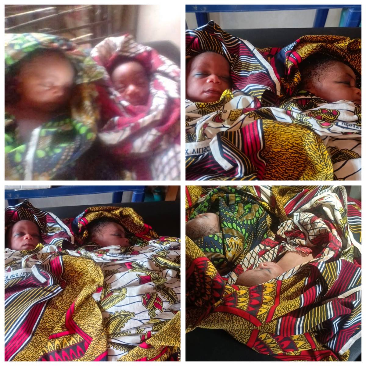 A set of newborn twins were found abandoned in a bush in Vandeikya Local Government Area of Benue St...