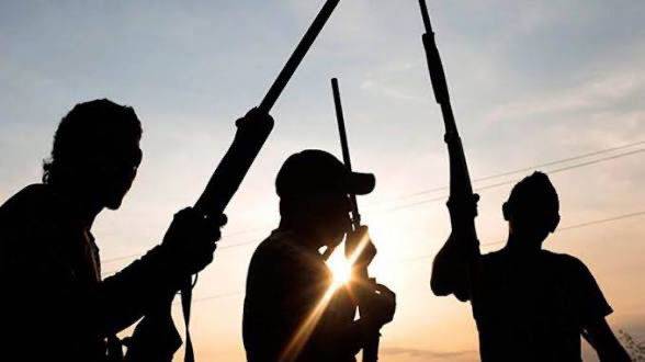 ISIL (ISIS) has claimed responsibility for an attack that killed at least 29 people in Adamawa stat...