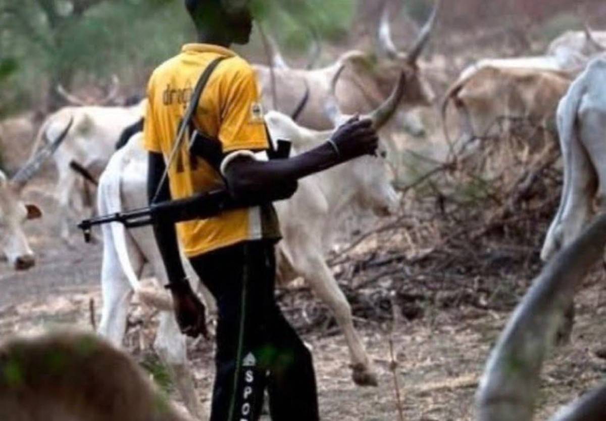 Seven people killed as armed herdsmen launch fresh attack on Benue community