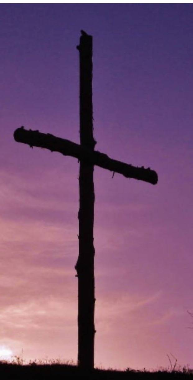 Love gave.
Help came.
Compassion reached.
Mercy saved.
Beauty filled.
Hope instilled.
Burdens lifted...