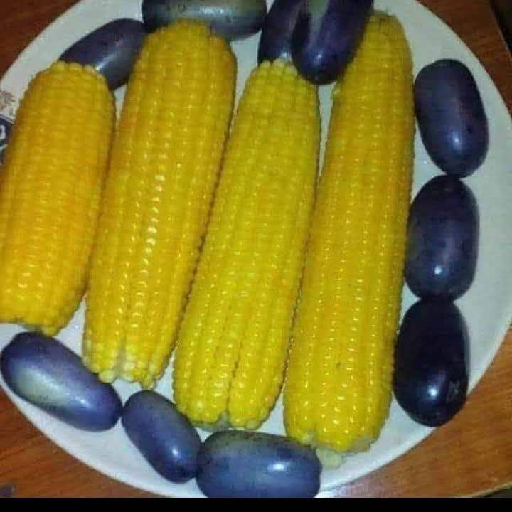 If you feel like joining me this afternoon you are highly welcome but I don't know your location or...