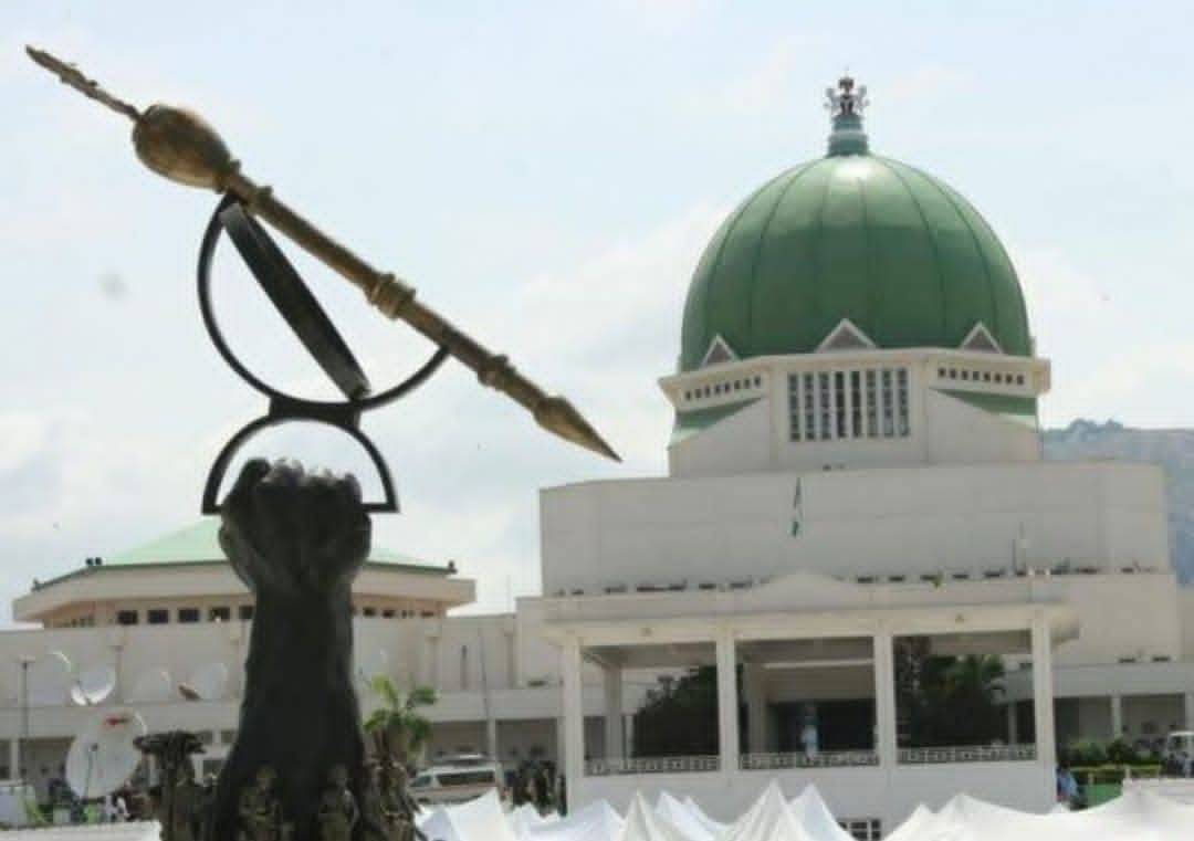 The National Assembly halts the harmonization of electoral bills and proposes January 16, 2027, as t...