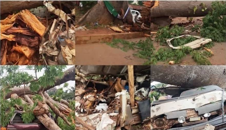 Police In Enugu Community Confirm 11 Dead After Tree Falls On Bus, Minivan During Severe Rain
#Nige...
