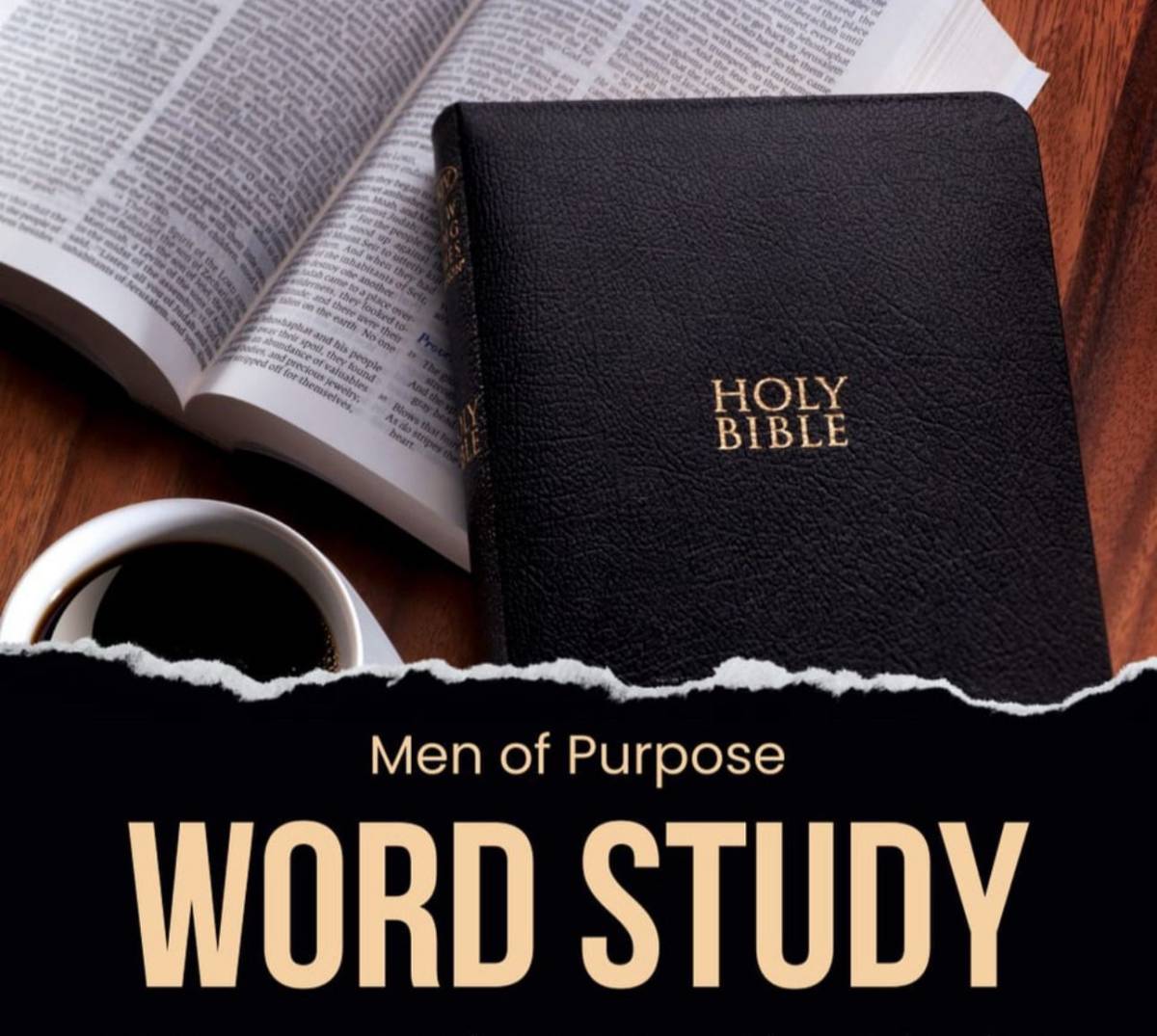 Ask me about joining "The Men of Purpose" if you live in the USA. We currently have a strong represe...