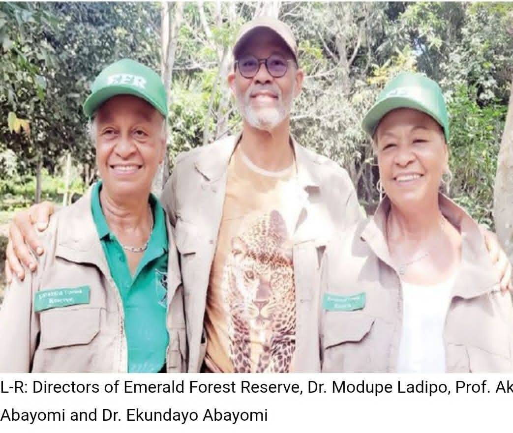 LOCAL NEWS: How Abayomi family preserved Emerald Forest in Ikoyi Osun? | Read full news post here ht...