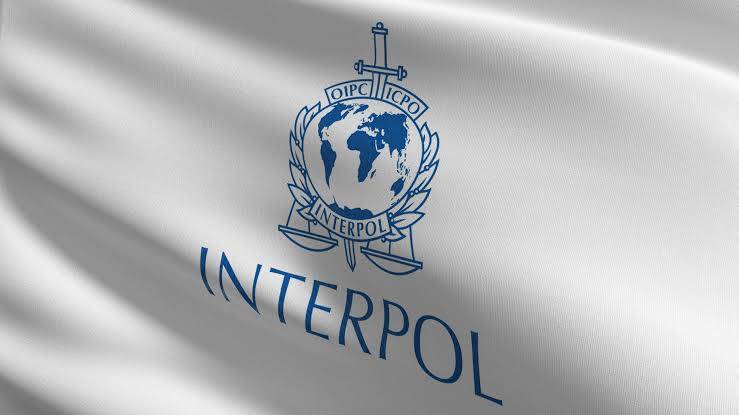 NIGERIAN NEWS: INTERPOL arrested an Edo man for defrauding an American woman of $550,000 – Fraudulen...
