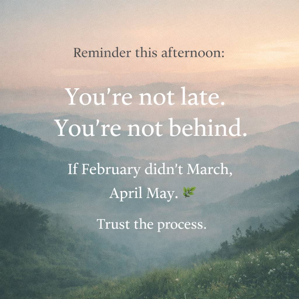 Reminder this afternoon:
You’re not late.
You’re not behind.
If February didn’t March, April May...