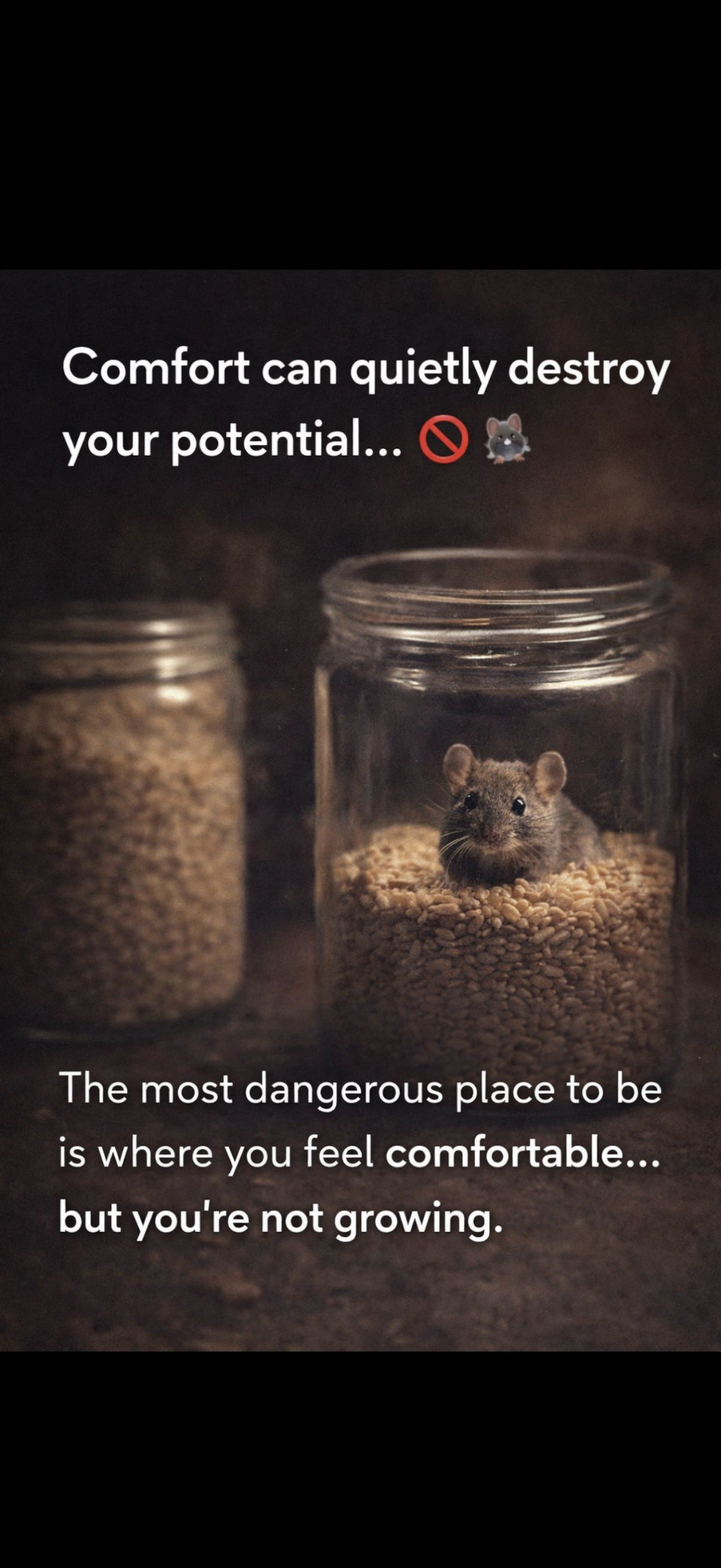 The most dangerous place to be is where you feel comfortable, but you’re not growing.
It doesn’t lo...