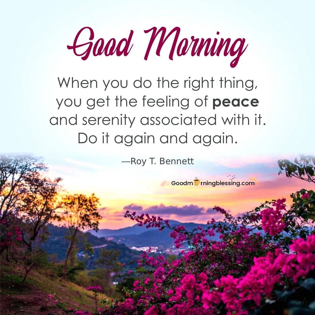 Peace from within…..
