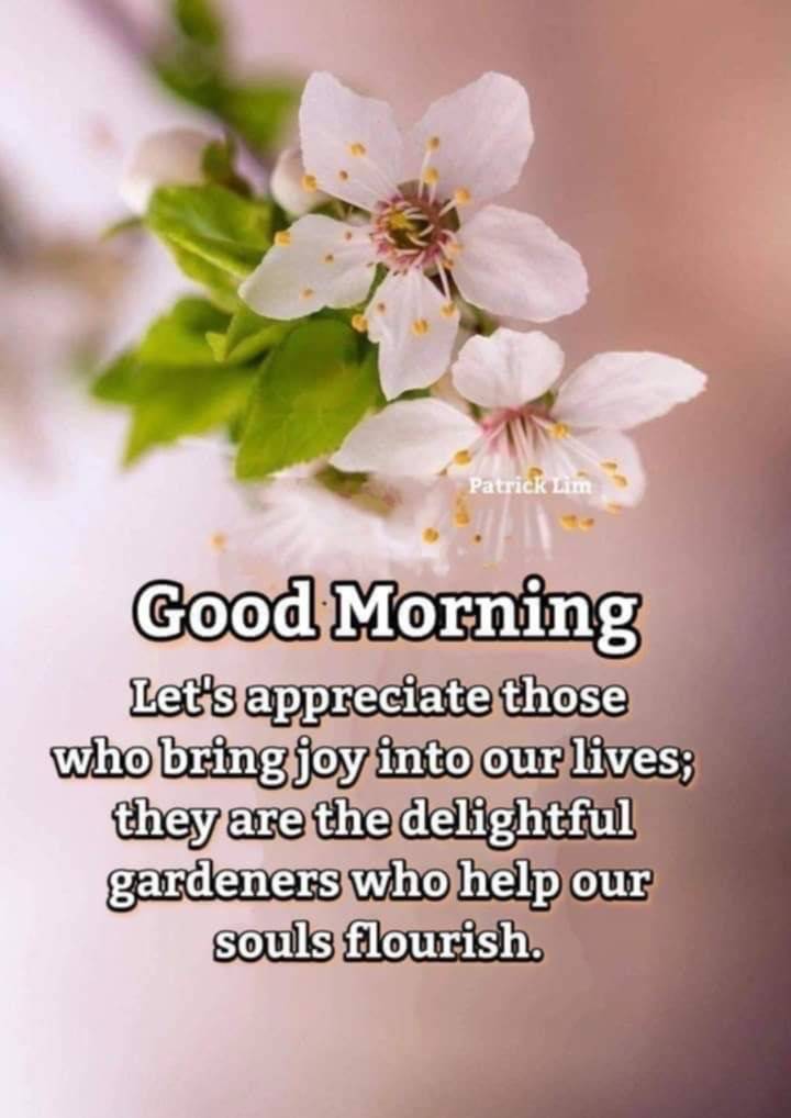 Be grateful…..