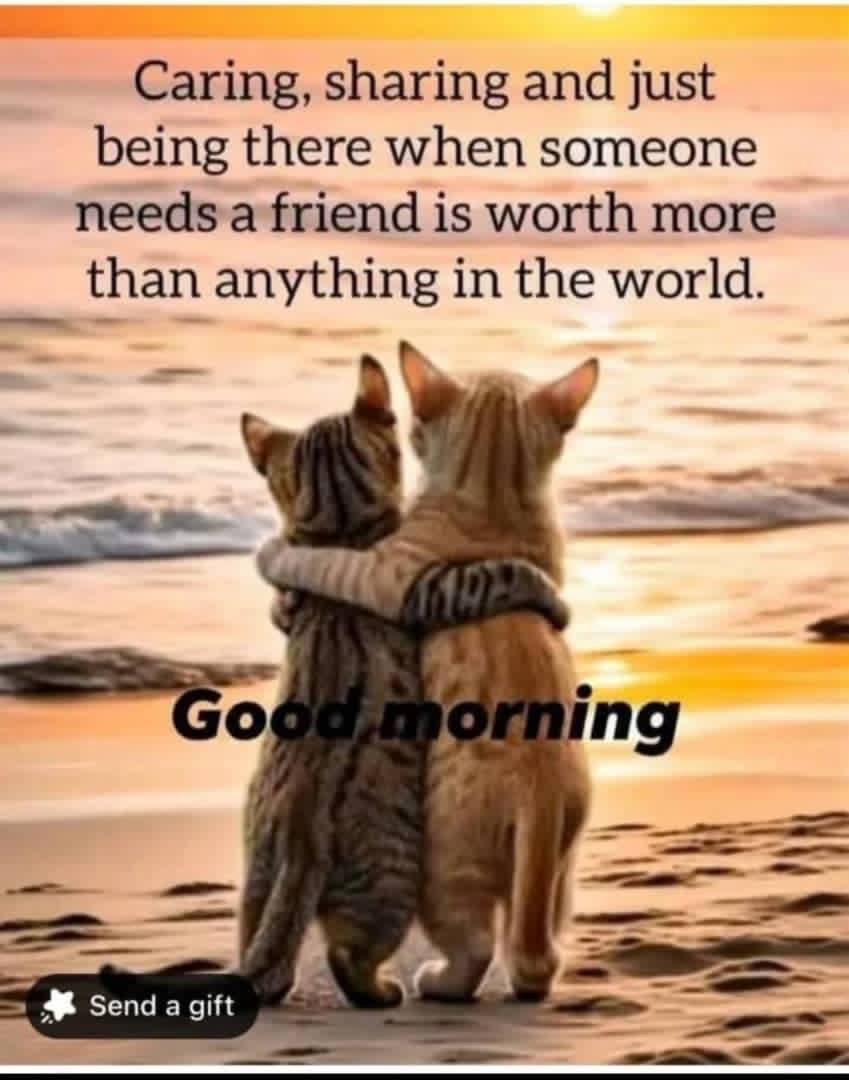 True friendship….