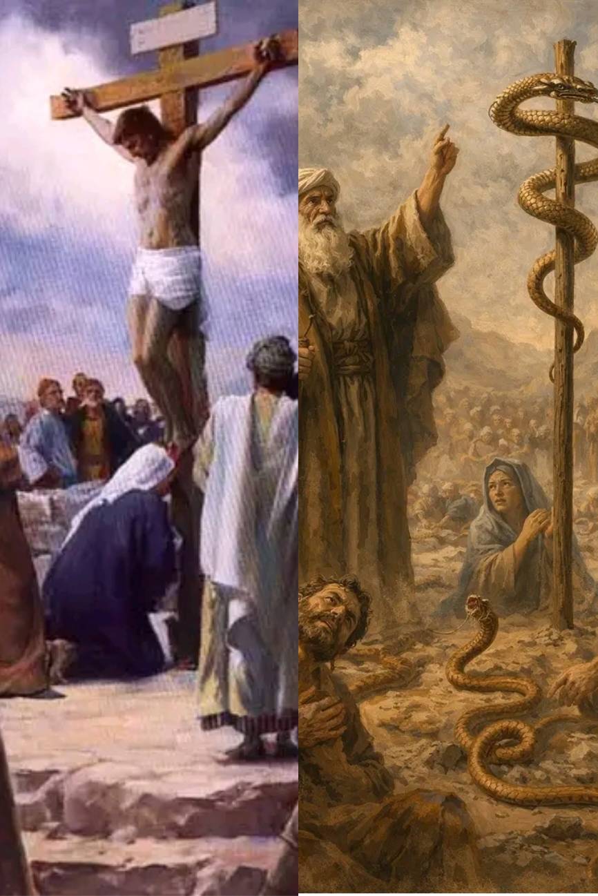 In Jesus’s crucifixion, He will draw to Himself everyone who believes He is the Son of God and the p...