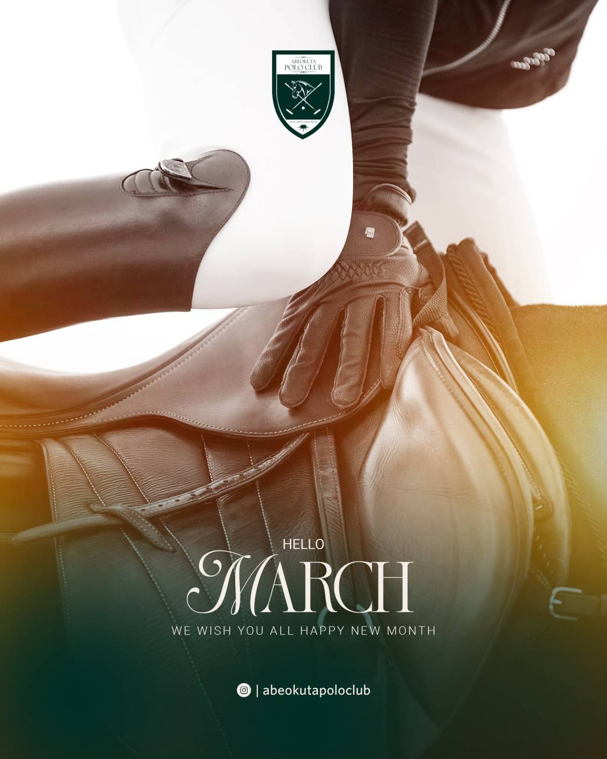 Best Equestrian game ever......