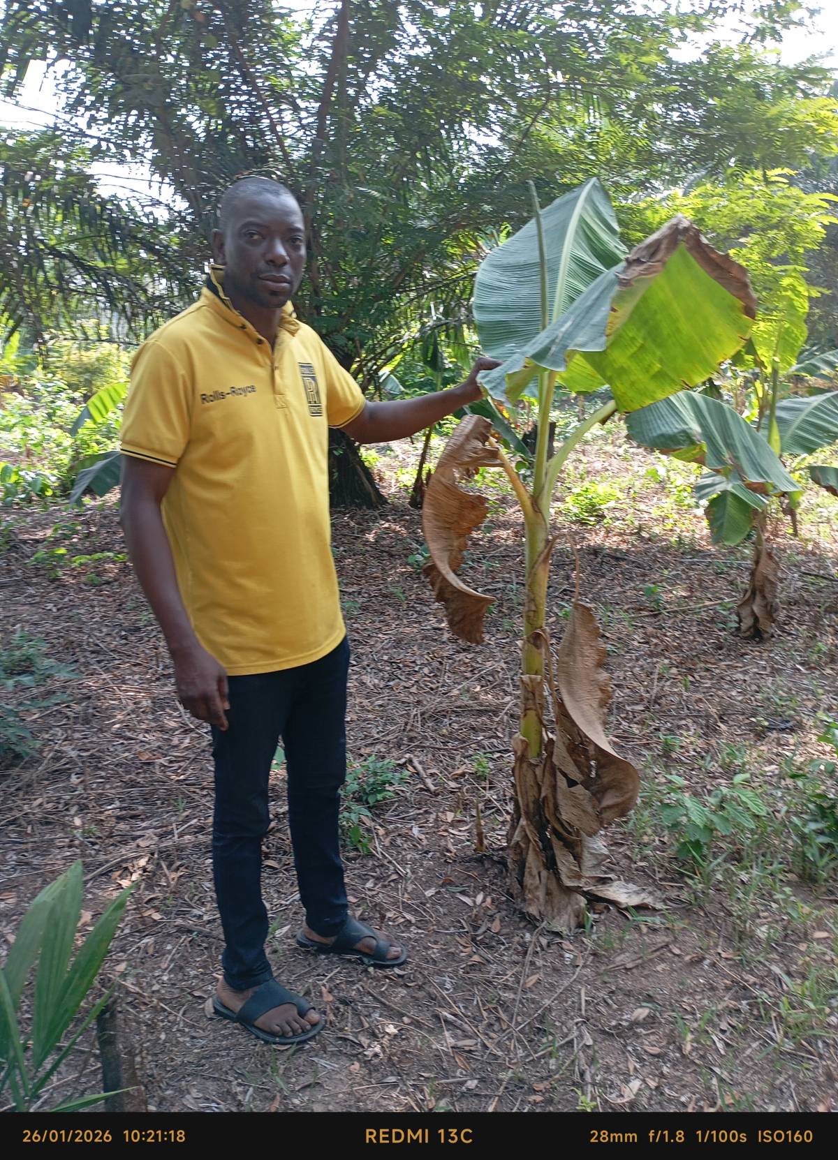 @lekeelekee is our own platform. This is really made in Nigeria
Greetings from Farmer Babawale #Agr...