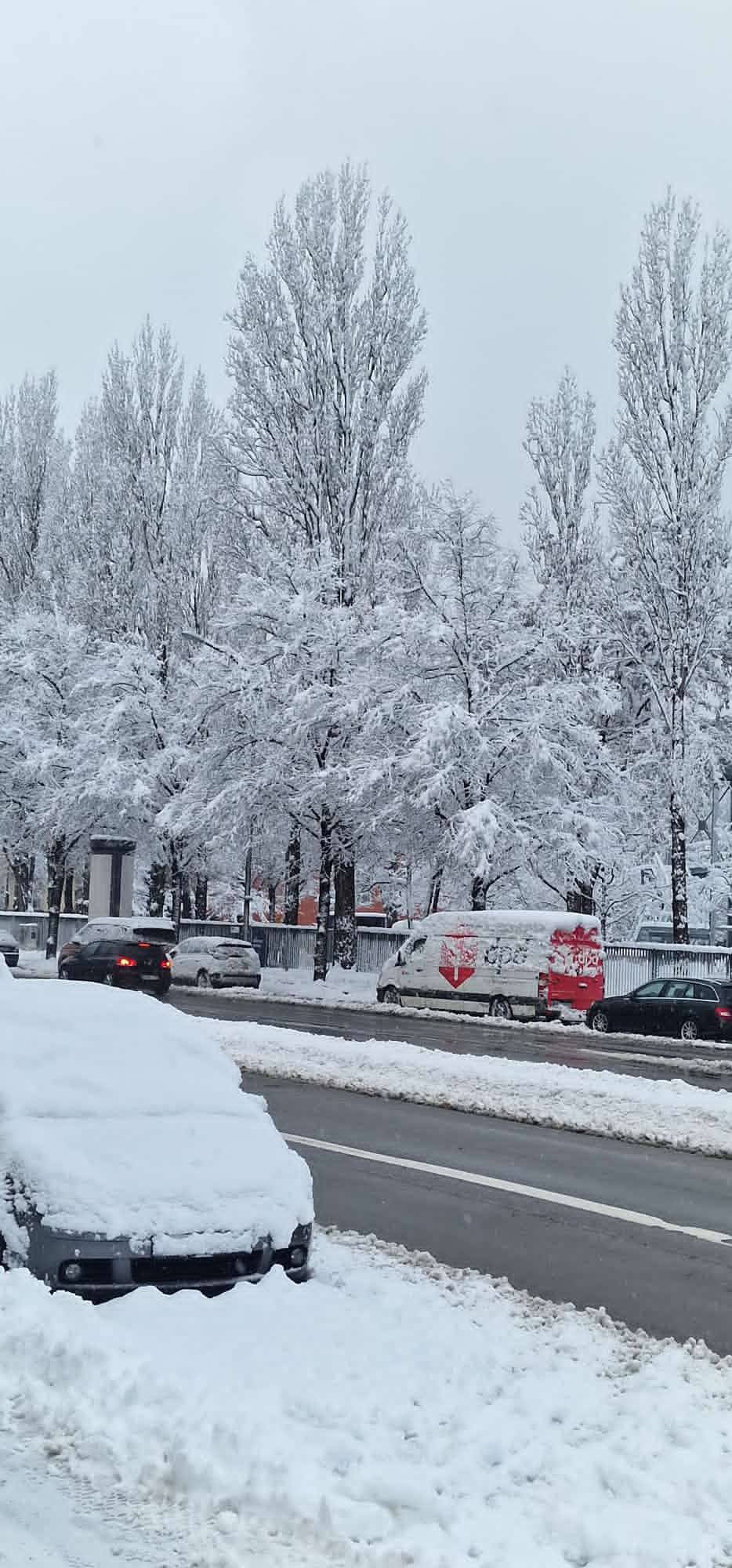 Is another new day here in Bayern München Germany with more Snow ❄️