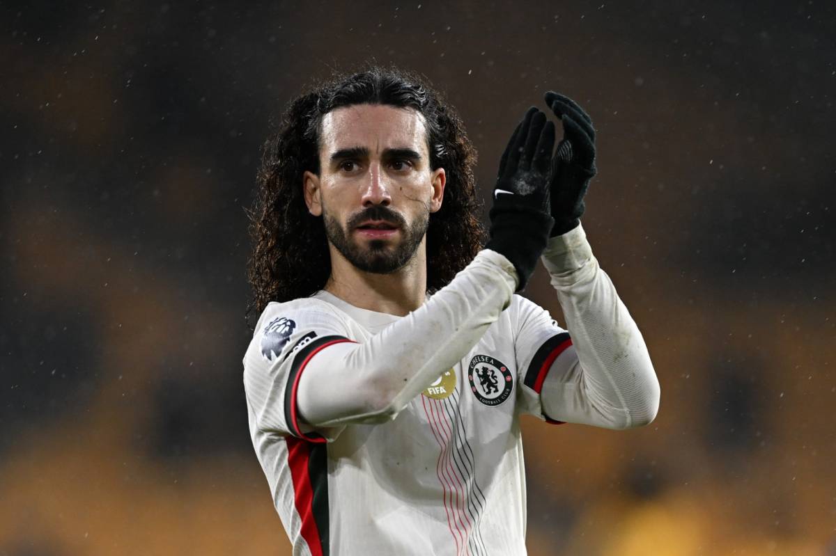 The Chelsea Prof