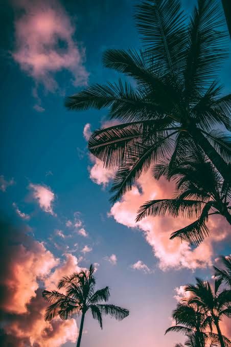 Post by Charlie Pyper