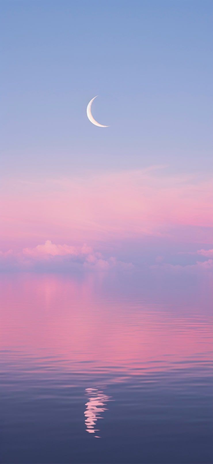 Test Image
