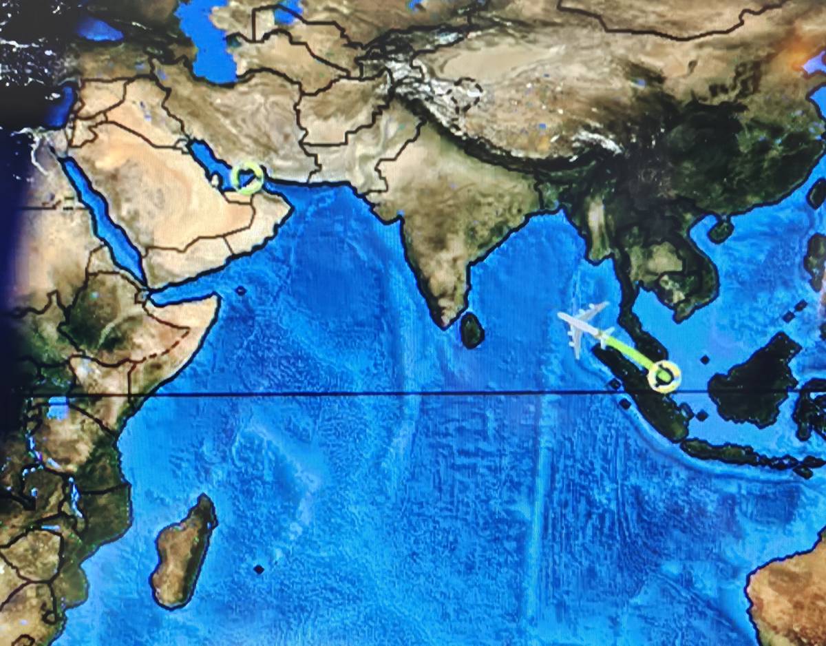 On way to Dubai for more @lekeelekee meetings. Also testing the app at 30,000ft...๐๐