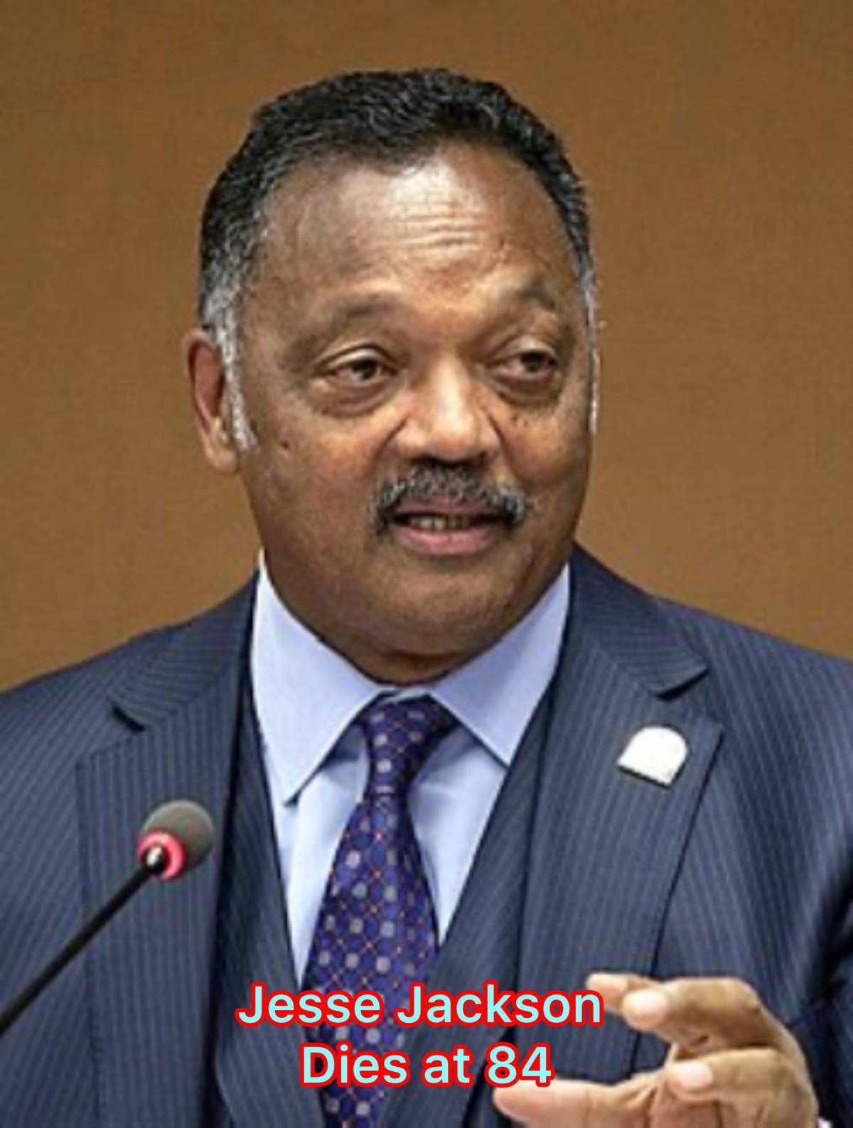 Rev. Jesse Jackson, the renowned civil rights leader, Baptist minister, and two-time Democratic pres...
