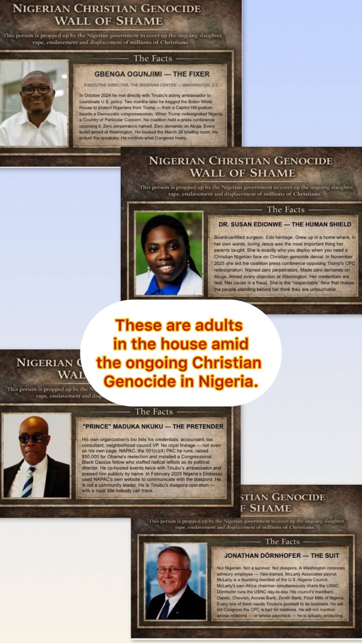 Adults in the room, and another story of Rwandan Genocide is waiting to happen, but this time in Nig...