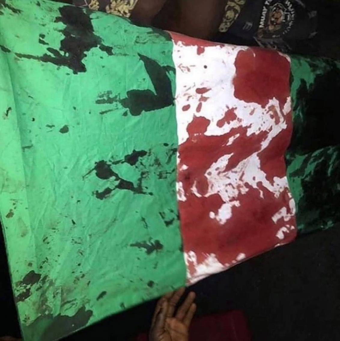 Electoral sanitation is the salvation since the judiciary has been captured, please help, this coun...
