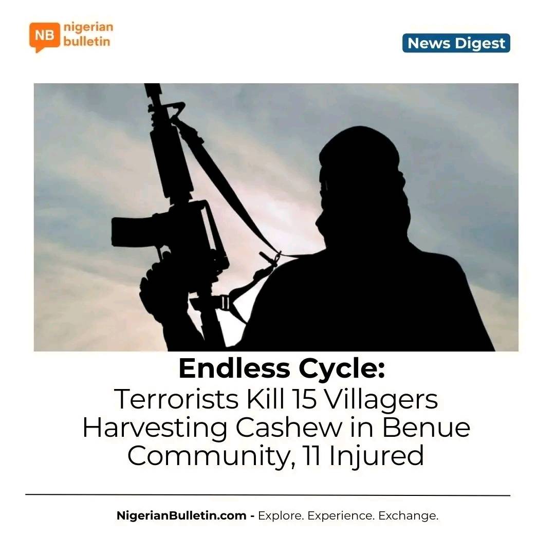 Terrorists have killed 15 villagers harvesting cashew in Benue's Apa LGA and injured 11 others. The...