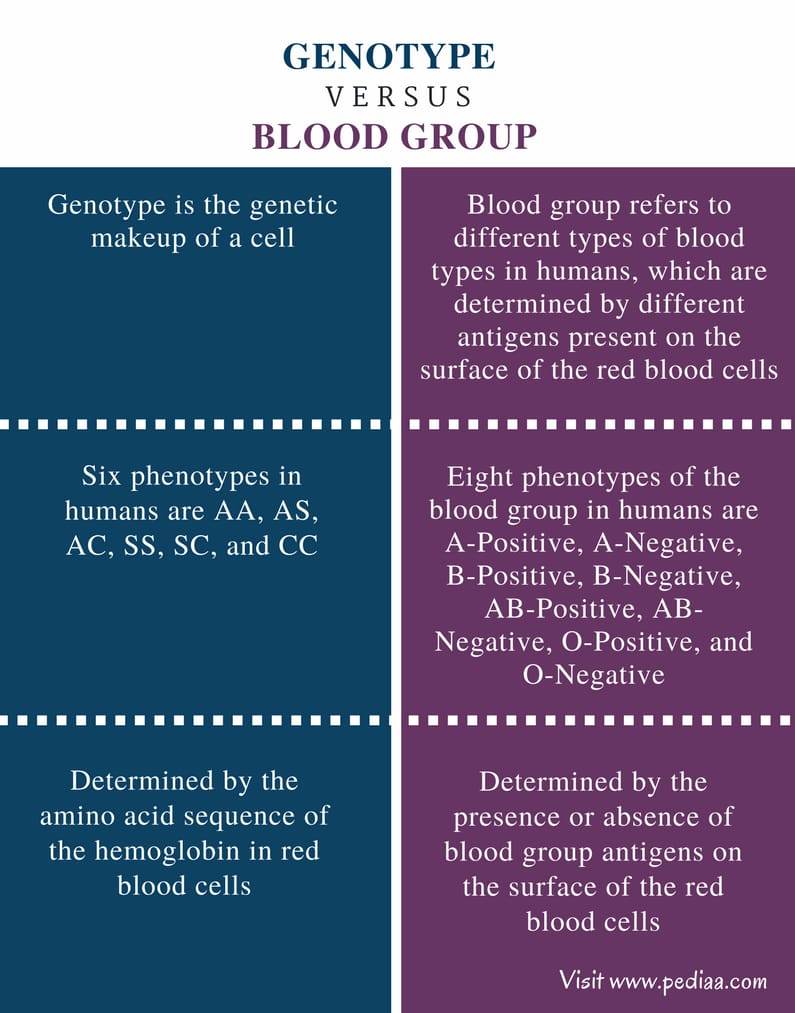 Try to know your GENOTYPES