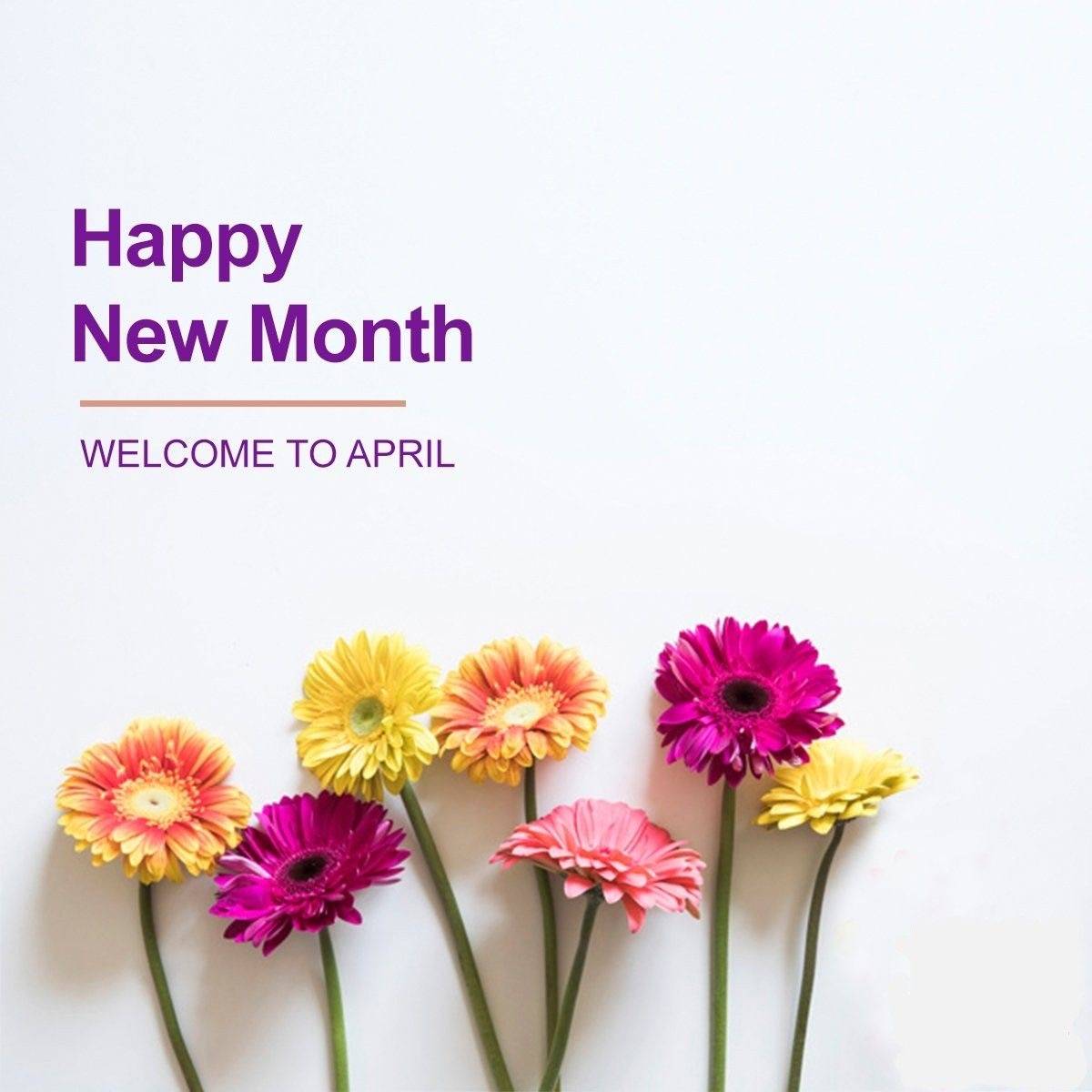 Happy New Month fam...🥂