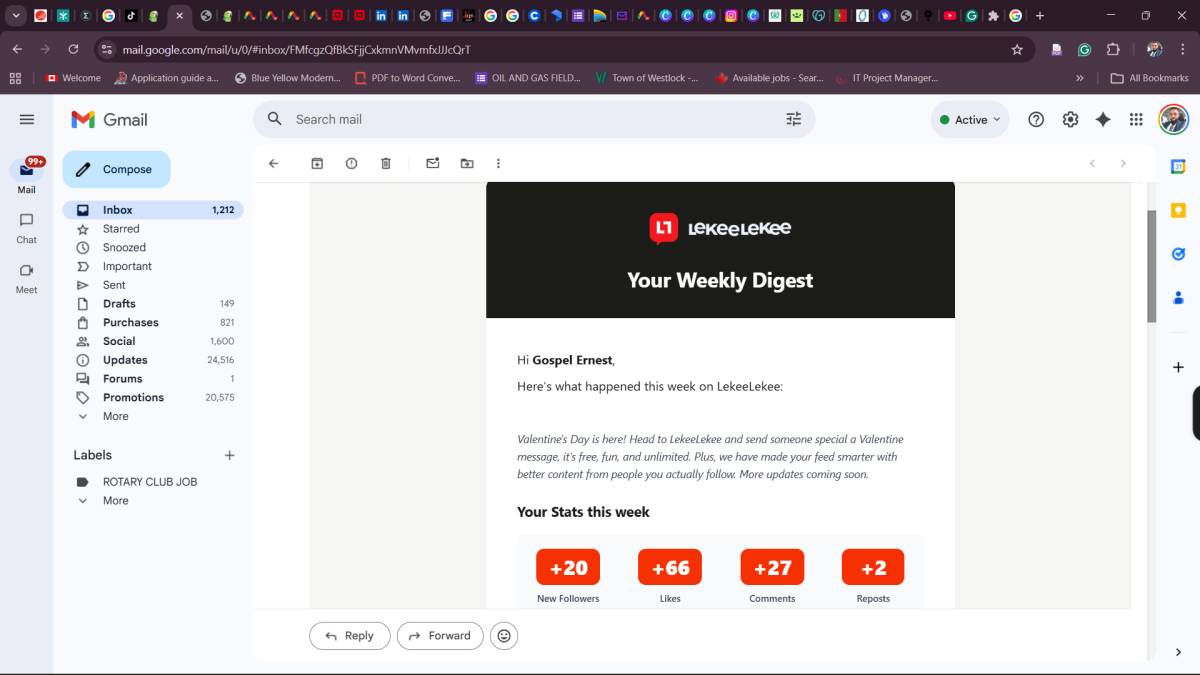 Grateful for the new Weekly Digest report from @lekeelekee 🙌

Seeing my weekly activity, engagement...
