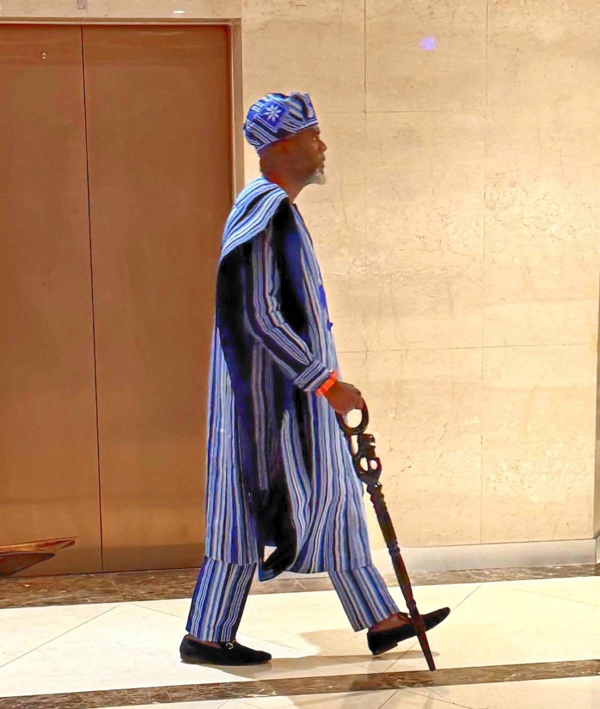 Meet the Ambassador designated to Peter Obi 😂