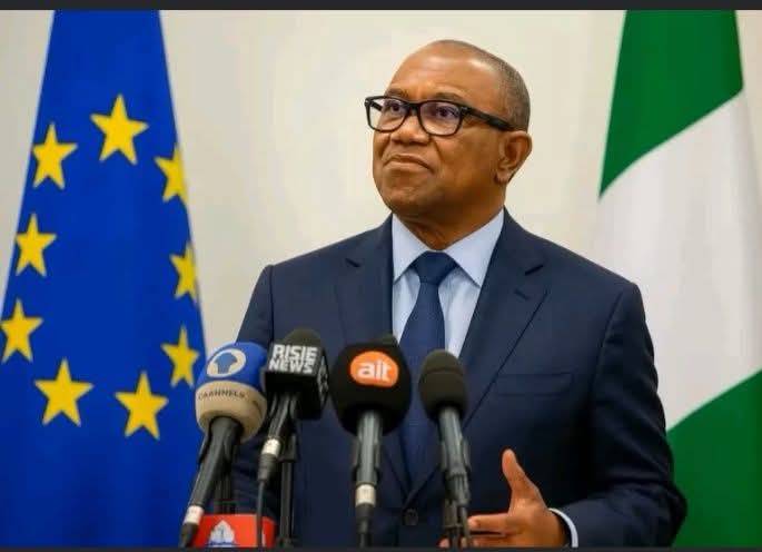 Why is Tinubu, INEC, APC and the Judiciary doing everything possible not to see PETER OBI on the bal...