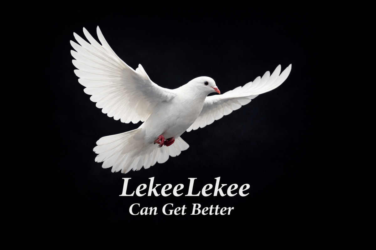 A very humble Opinion:
Dear @lekeelekee team, I commend the wonderful initiative of giving us the...