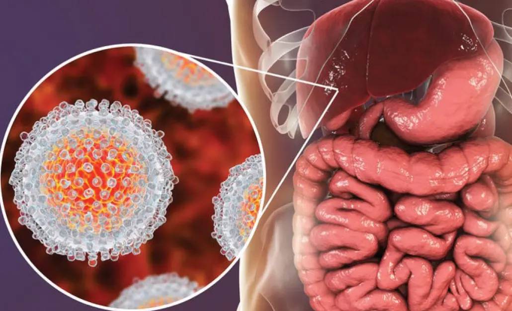 Hepatitis B (HBV) is a common viral infection that attacks the liver. It can be a short illness or m...