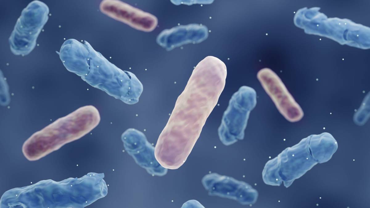 Antimicrobial resistance (AMR) happens when bacteria, viruses, fungi or parasites change so the medi...