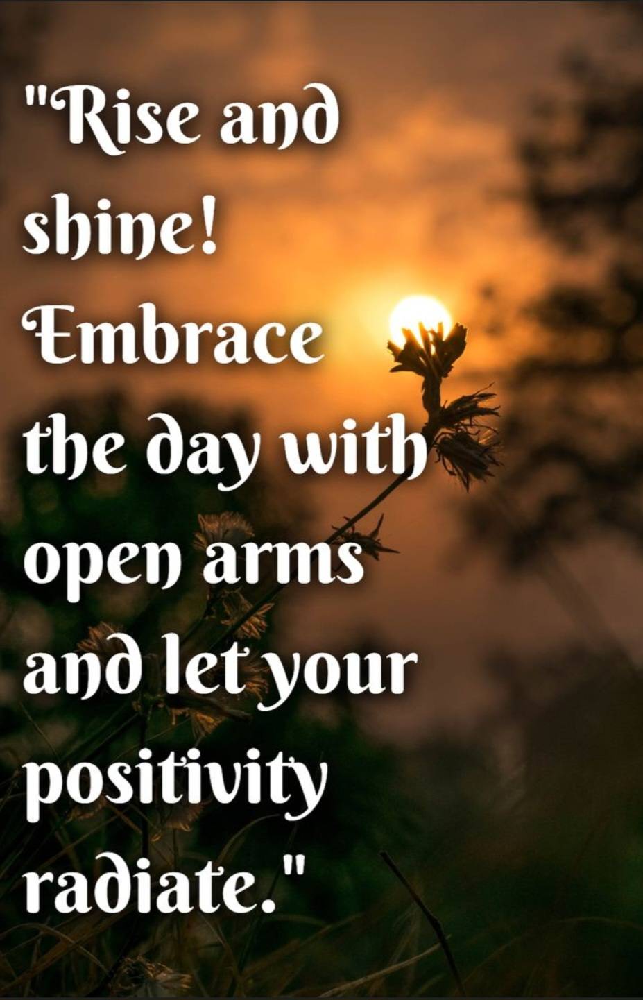 Be Positive at every turn regardless.
