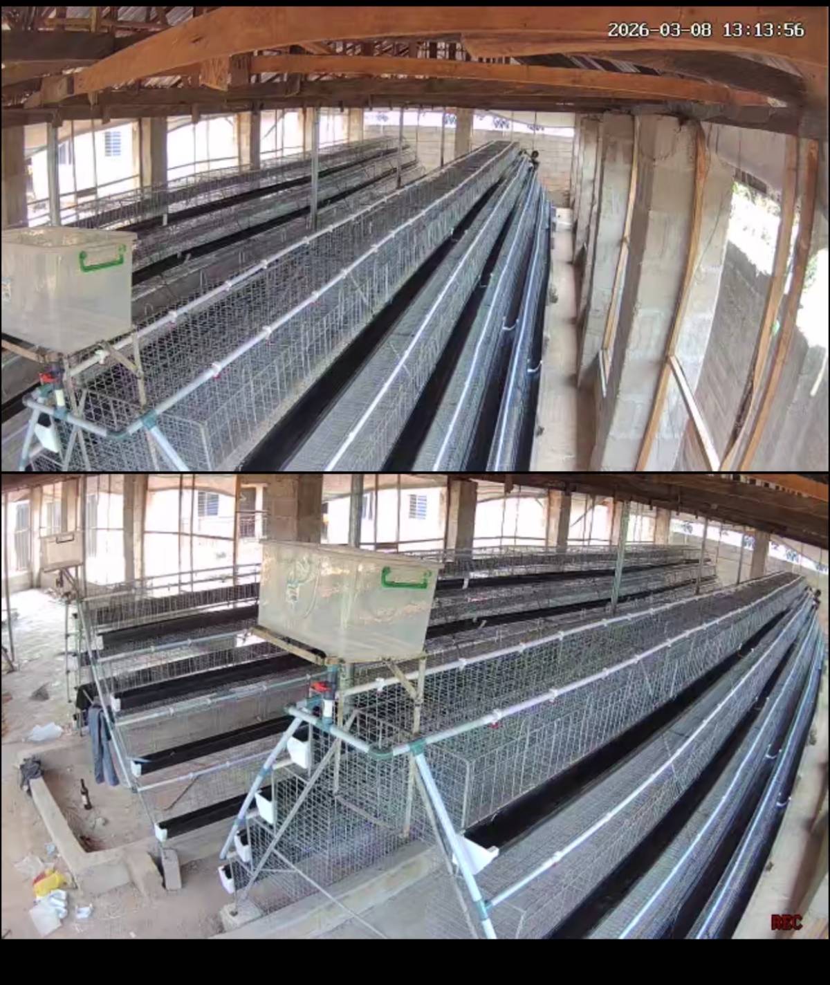 Lelenwa Agro foods and farms Ltd, We are getting ready, one step at a time, no rush.