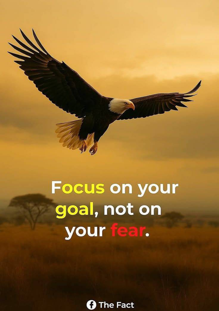 Fear is loud, but your goals are stronger.
Don’t look at what could go wrong, focus on what can go r...