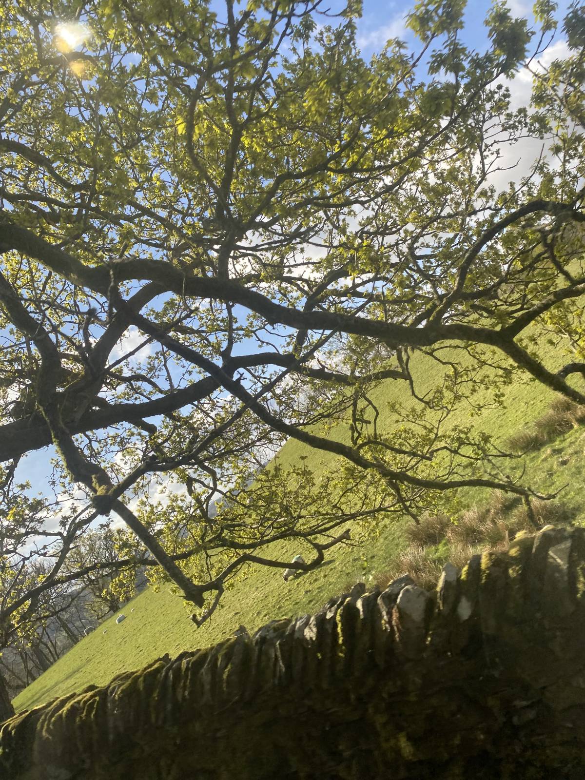 Lake District