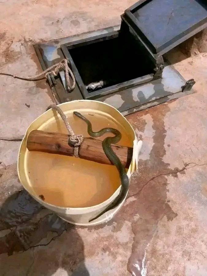 Today i just realised that the water we have been drinking had a snake inside but we have never been...