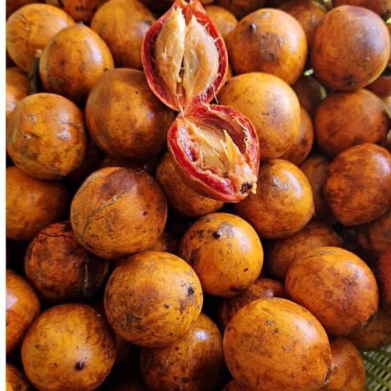 How old were you when you found out that “cherry” is Chrysophyllum albidum? 😳