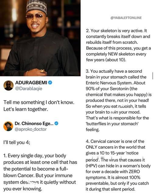 You actually have a second brain in your stomach" – Aproko Doctor educates