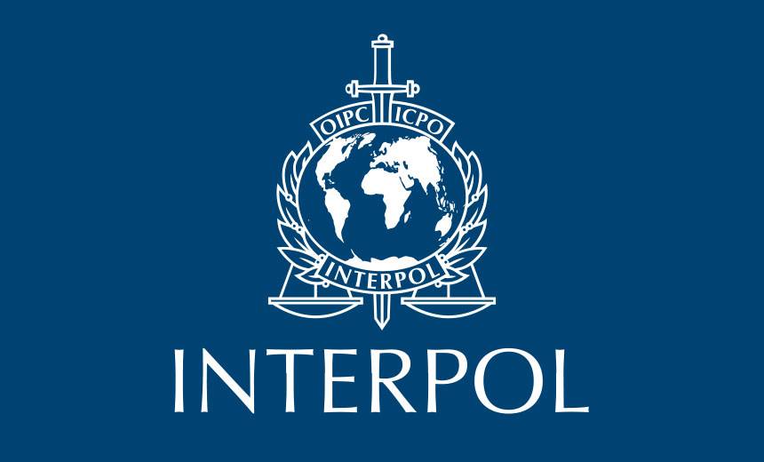JUST IN: INTERPOL says it collaborated with Nigeria police and dismantled a high-yield investment fr...
