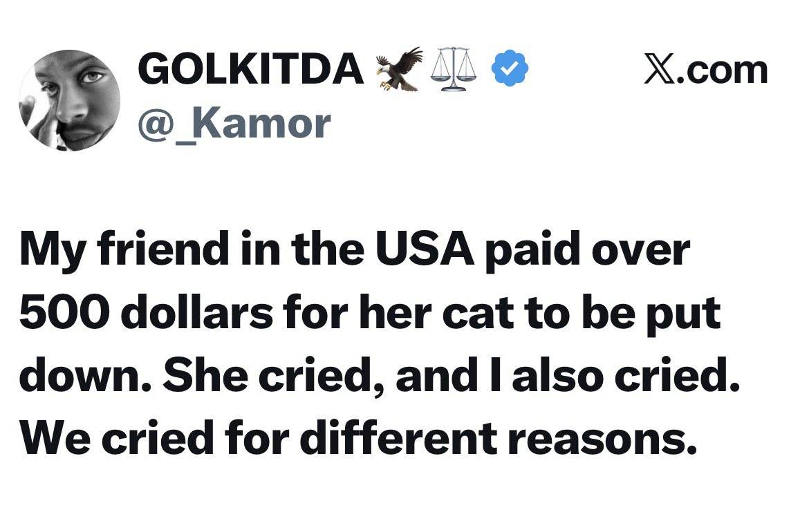 Lawyer shares an experience with a friend who paid over $500 for her cat to be put down