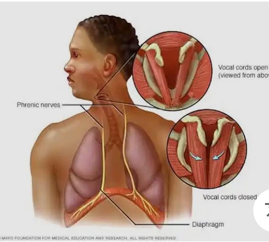 When last did you experience hiccups and what are the common remedies?