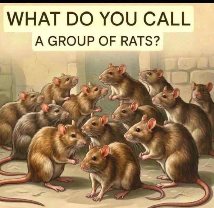 🤔 🤔🤔 ?