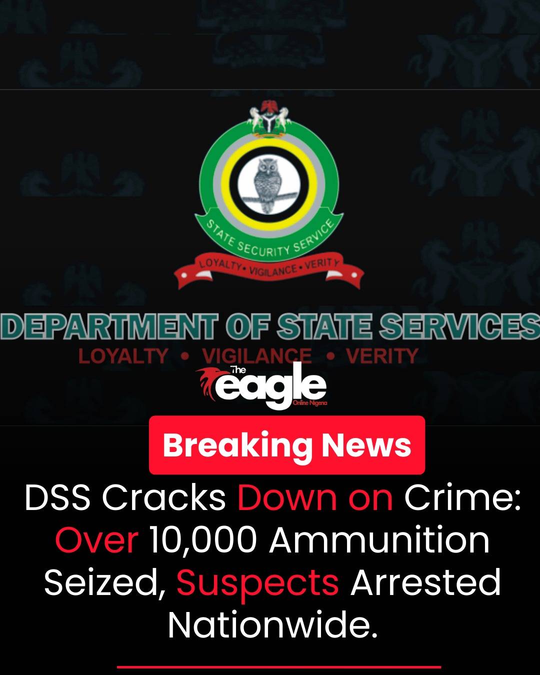 Shoutout to the DSS! ๐ณ๐ฌ
From January to March this year, they've been on fire; arresting suspects n...