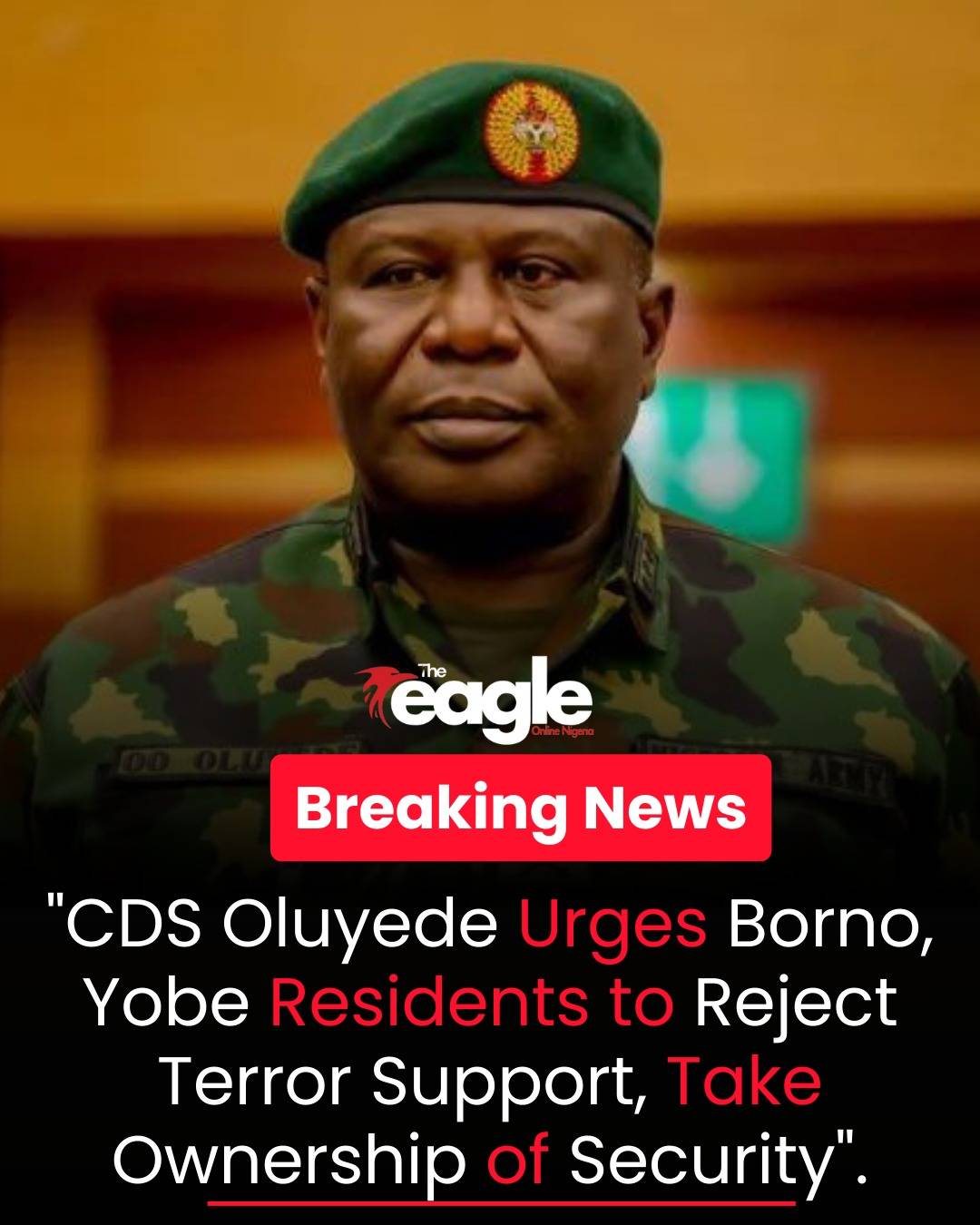 CDS Oluyede Urges Borno, Yobe Residents to Help Tackle Insecurity
The Chief of Defence Staff, Gen....